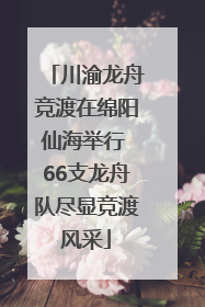 川渝龙舟竞渡在绵阳仙海举行 66支龙舟队尽显竞渡风采