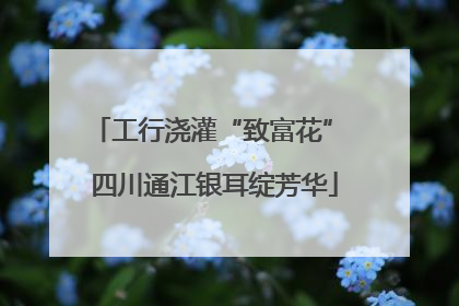 工行浇灌“致富花” 四川通江银耳绽芳华
