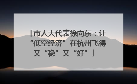 市人大代表徐向东：让“低空经济”在杭州飞得又“稳”又“好”