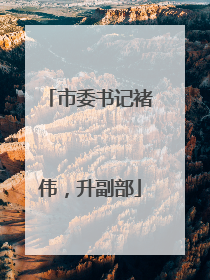 市委书记褚伟，升副部