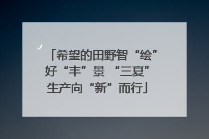 希望的田野智“绘”好“丰”景 “三夏”生产向“新”而行