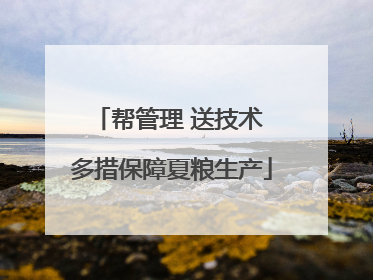帮管理 送技术 多措保障夏粮生产