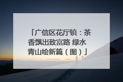 广信区花厅镇：茶香飘出致富路 绿水青山绘新篇（图）