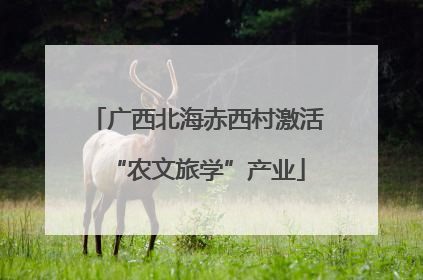 广西北海赤西村激活“农文旅学”产业
