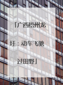 广西梧州龙圩：动车飞驰过田野