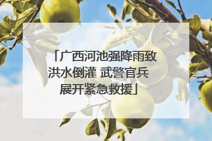 广西河池强降雨致洪水倒灌 武警官兵展开紧急救援