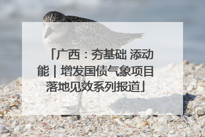 广西：夯基础 添动能｜增发国债气象项目落地见效系列报道