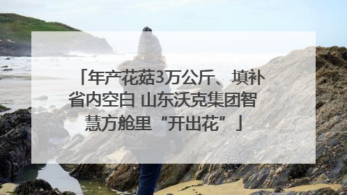 年产花菇3万公斤、填补省内空白 山东沃克集团智慧方舱里“开出花”