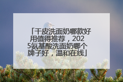 干皮洗面奶哪款好用值得推荐，2025氨基酸洗面奶哪个牌子好，温和在线
