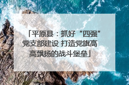 平原县：抓好“四强”党支部建设 打造党旗高高飘扬的战斗堡垒