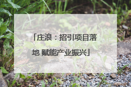 庄浪：招引项目落地 赋能产业振兴