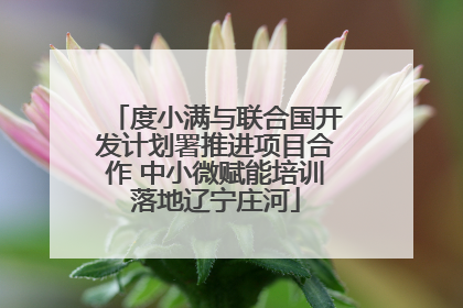 度小满与联合国开发计划署推进项目合作 中小微赋能培训落地辽宁庄河