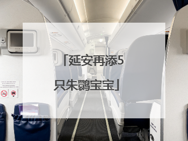 延安再添5只朱鹮宝宝