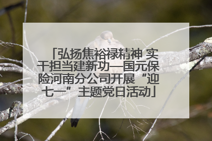 弘扬焦裕禄精神 实干担当建新功—国元保险河南分公司开展“迎七一”主题党日活动