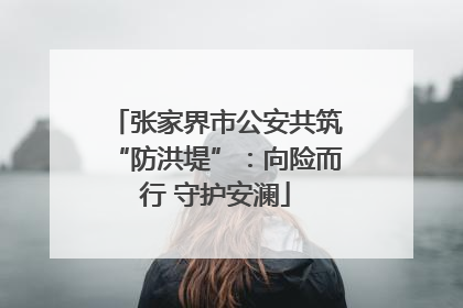 张家界市公安共筑“防洪堤”：向险而行 守护安澜