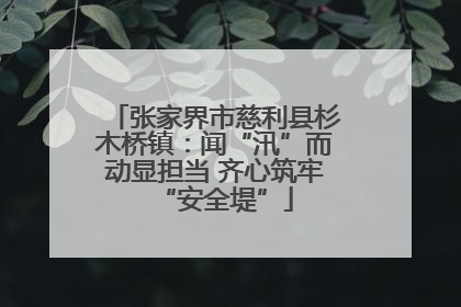 张家界市慈利县杉木桥镇：闻“汛”而动显担当 齐心筑牢“安全堤”