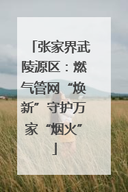 张家界武陵源区：燃气管网“焕新”守护万家“烟火”