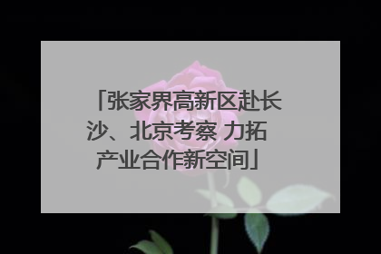 张家界高新区赴长沙、北京考察 力拓产业合作新空间