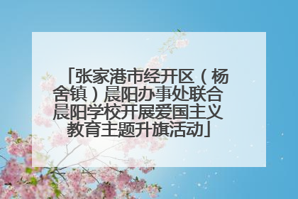 张家港市经开区（杨舍镇）晨阳办事处联合晨阳学校开展爱国主义教育主题升旗活动
