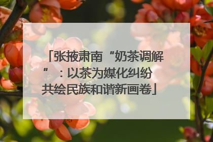 张掖肃南“奶茶调解”：以茶为媒化纠纷 共绘民族和谐新画卷