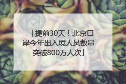 提前30天！北京口岸今年出入境人员数量突破800万人次