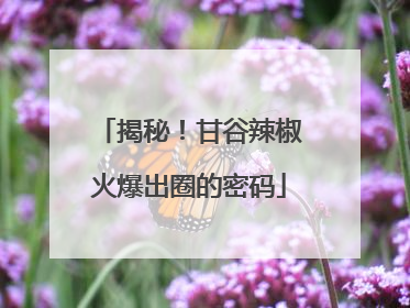 揭秘！甘谷辣椒火爆出圈的密码