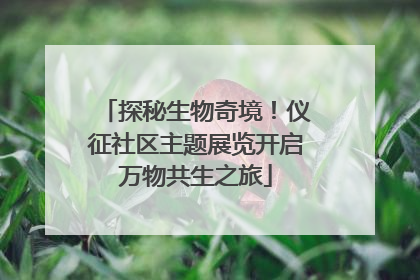探秘生物奇境！仪征社区主题展览开启万物共生之旅