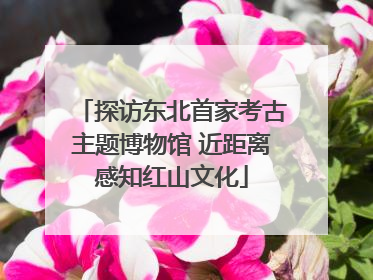 探访东北首家考古主题博物馆 近距离感知红山文化