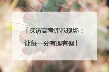 探访高考评卷现场：让每一分有理有据
