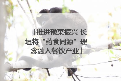 推进豫菜振兴 长垣将“药食同源”理念融入餐饮产业