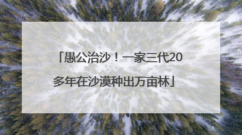 愚公治沙！一家三代20多年在沙漠种出万亩林