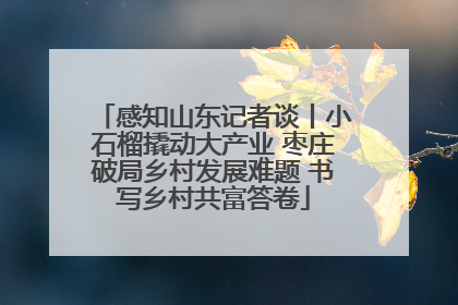 感知山东记者谈丨小石榴撬动大产业 枣庄破局乡村发展难题 书写乡村共富答卷