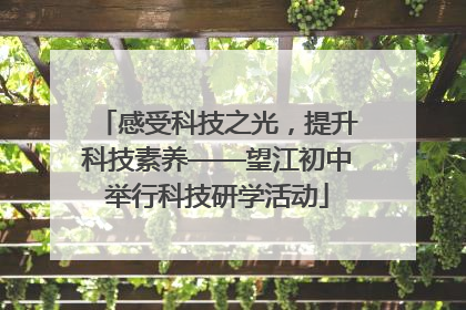 感受科技之光，提升科技素养——望江初中举行科技研学活动