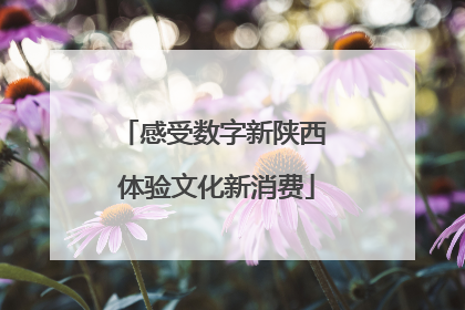 感受数字新陕西 体验文化新消费