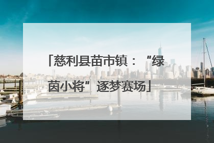 慈利县苗市镇：“绿茵小将”逐梦赛场