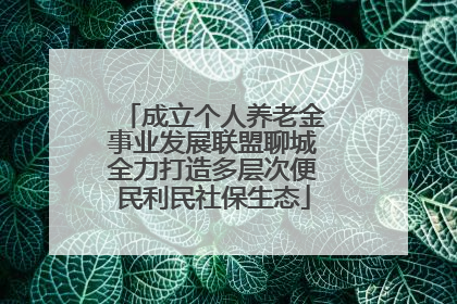 成立个人养老金事业发展联盟聊城全力打造多层次便民利民社保生态