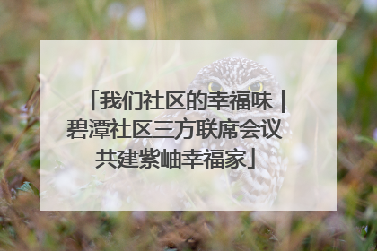 我们社区的幸福味｜碧潭社区三方联席会议共建紫岫幸福家