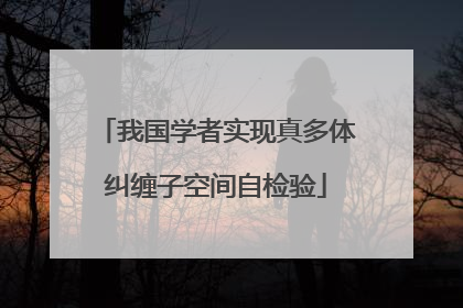 我国学者实现真多体纠缠子空间自检验
