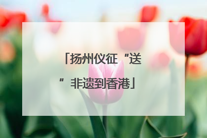 扬州仪征“送”非遗到香港