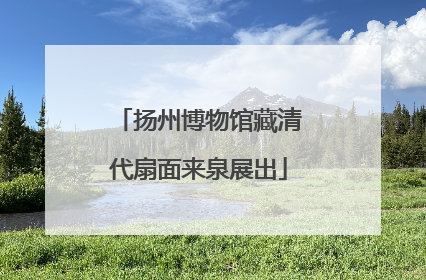 扬州博物馆藏清代扇面来泉展出