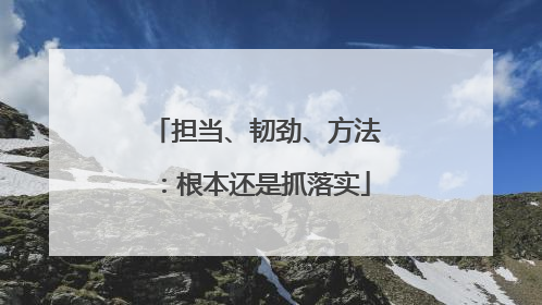担当、韧劲、方法：根本还是抓落实