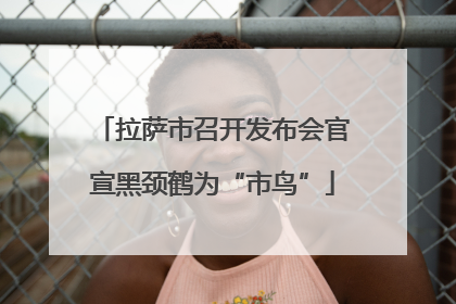 拉萨市召开发布会官宣黑颈鹤为“市鸟”