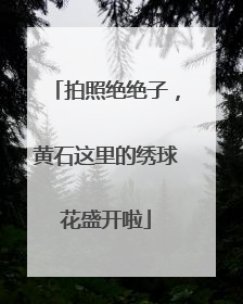 拍照绝绝子，黄石这里的绣球花盛开啦