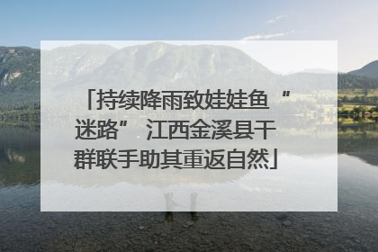 持续降雨致娃娃鱼“迷路” 江西金溪县干群联手助其重返自然