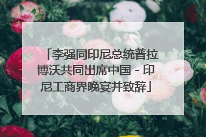 李强同印尼总统普拉博沃共同出席中国－印尼工商界晚宴并致辞