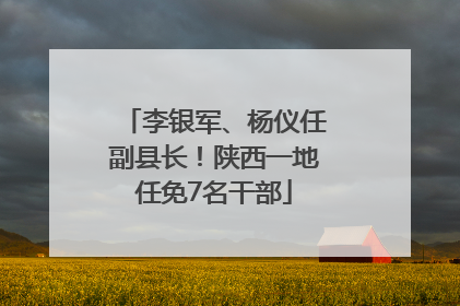 李银军、杨仪任副县长！陕西一地任免7名干部
