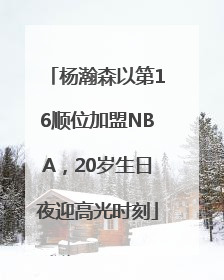 杨瀚森以第16顺位加盟NBA，20岁生日夜迎高光时刻