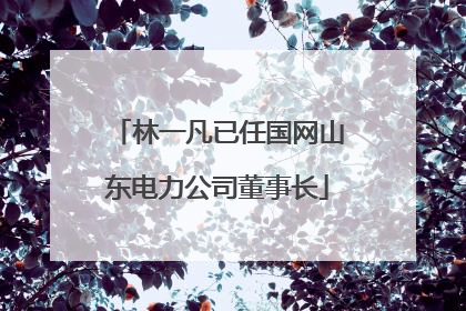 林一凡已任国网山东电力公司董事长