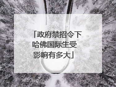 政府禁招令下 哈佛国际生受影响有多大
