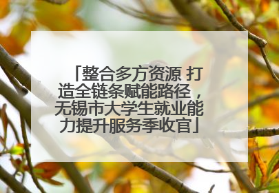 整合多方资源 打造全链条赋能路径，无锡市大学生就业能力提升服务季收官